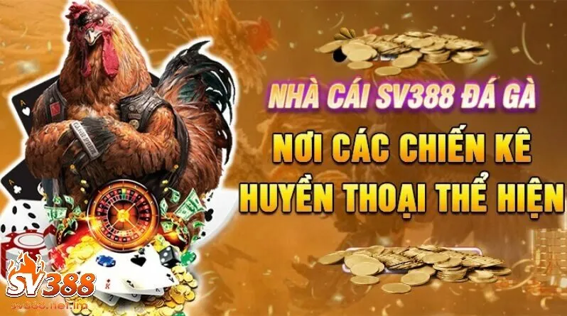 Đá Gà SV388 - Kênh Giải Trí Hấp Dẫn Cho Tín Đồ Cá Cược